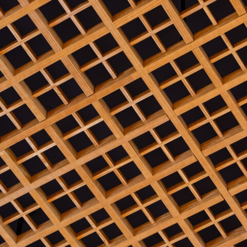 Image Not Found On Media Library