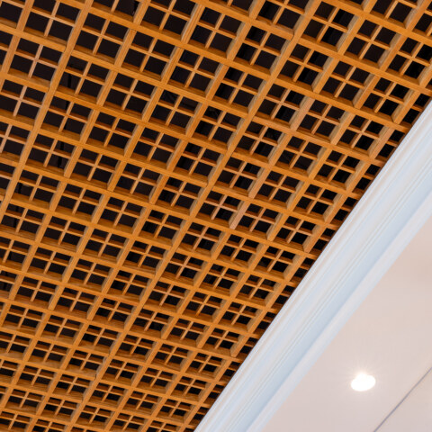 Image Not Found On Media Library