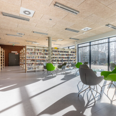Image Not Found On Media Library
