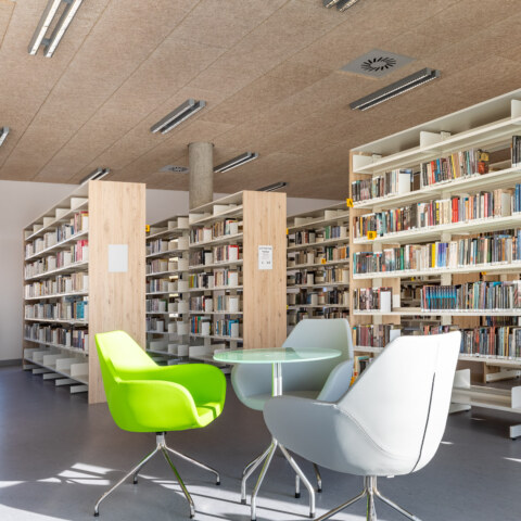 Image Not Found On Media Library