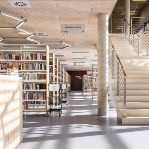 Image Not Found On Media Library