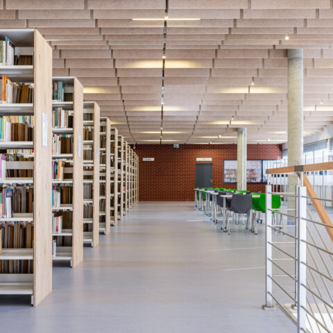 Image Not Found On Media Library