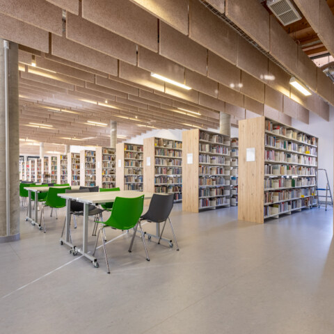 Image Not Found On Media Library