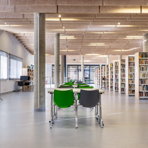 Image Not Found On Media Library