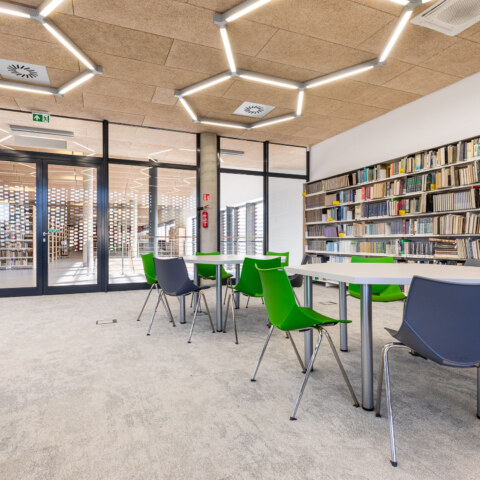 Image Not Found On Media Library